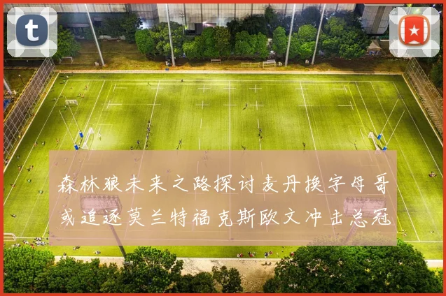 森林狼未来之路探讨麦丹换字母哥或追逐莫兰特福克斯欧文冲击总冠军